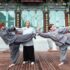 Should Martial Artists Sport Full Beards?