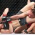 Bas “El Guapo” Rutten: Top 5 MMA Finishes