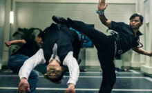 Best Martial Arts Movie Fights of 2015