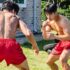 UFC and Bellator MMA: Discover the 5 Best Ways to Watch Events