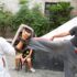 How Martial Arts Choreography Shapes Action Films and Stuns Audiences