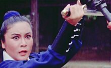Cinematic Vengeance! 8 Kung Fu Classics by Joseph Kuo — Blu-ray