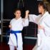Top 10 Martial Arts Movie Knife Fights