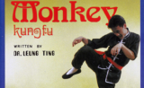 Drunken Monkey Kung Fu