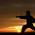 3 Outstanding Grappling Martial Artists in the UFC