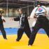 Martial Art of The Month: Vovinam