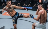 Martin Nguyen: Top 5 MMA 5 Finishes