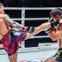 3 Outstanding Grappling Martial Artists in the UFC