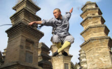 Shaolin Pagoda Forest