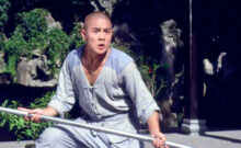 Shaolin Temple 2: Kids from Shaolin (1984)