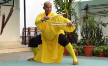 Shifu Sharma demonstrating Duanda
