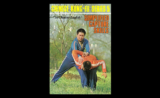 Chinese Kung Fu Series – Simplified Capture Skills