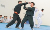Stop, Police! Start Kung Fu!