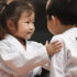 How Martial Arts Class Contribute to the Development of Skills in Students