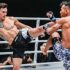 Iron Fists and Kung Fu Kicks (2019)