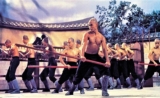 The 36th Chamber of Shaolin (1978)