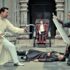 Top 10 Martial Arts Movie Fights of 2017