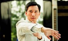 The Legend is Born: Ip Man (2010)