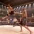 Top 10 Martial Arts Movie Fights of 2016!