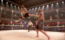 Top 10 Martial Arts Movies of 2016!