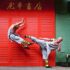 Star Trek: Kirk Fu Manual: A Guide to Starfleet’s Most Feared Martial Art