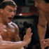 Kung Fu Jungle Comes to Kung Fu Kingdom!
