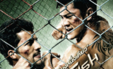 Fighting Fish (2012)