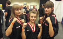 The Martial Arts Expo (TMAX)