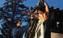 The Dragon’s Snake Fist (1981)