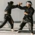 Mortal Kombat II (2026)