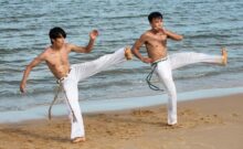 How Traditional Kung Fu Influences Modern UFC Fighters