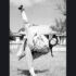 “Brick Mansions” trailer arrives online!