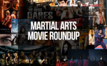 Martial Arts Movie Roundup