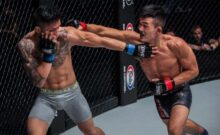 Top 10 Most Influential Striking Styles in MMA Today