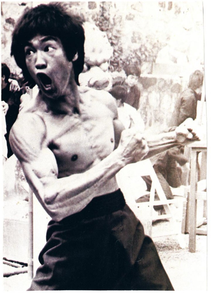 Profile Of Bruce Lee Kung Fu Kingdom