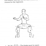Gung fu stance explained