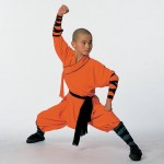 Classic Shaolin Big Battle pose