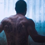 Best Martial Arts Movies of 2015
