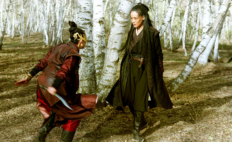 The Assassin Kung Fu Kingdom 770x472 1