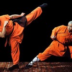 Shaolin kung fu
