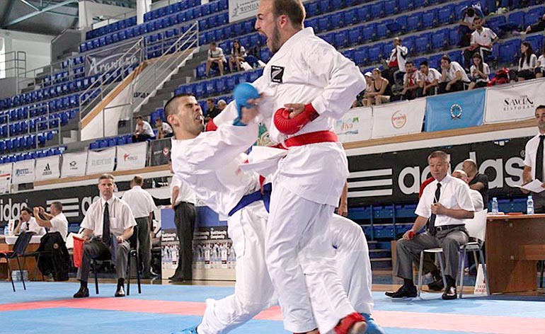 Karate Kung Fu Kingdom 770x472