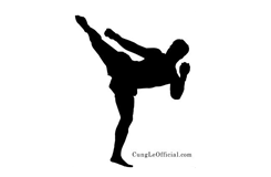 Cung Le