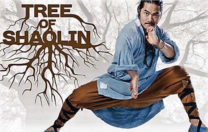 Join Shifu Wang Bo on the Tree of Shaolin journey