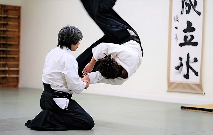 Master Haruo Matsuoka in Action