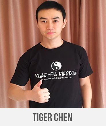 Tiger Chen - Kung Fu Kingdom