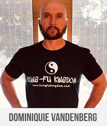 Dominiquie Vandenberg - Kung-Fu Kingdom