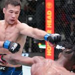 Shavkat Rakhmonov -Top 5 MMA Finishes -KUNG FU KINGDOM