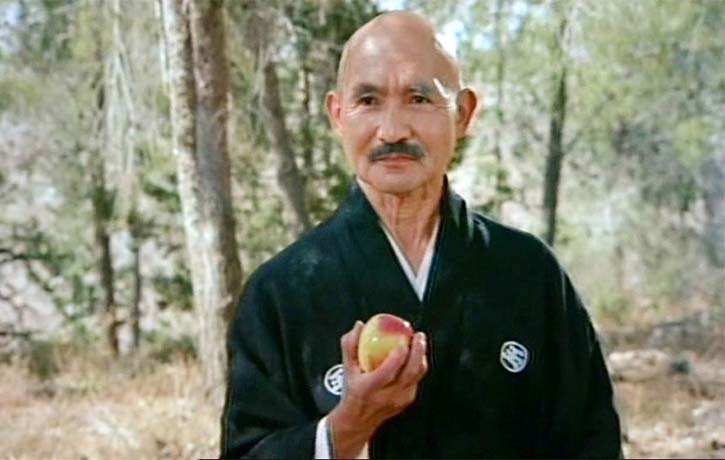 John Fujioka returns as Samurai Master Tatsuyo Sanga