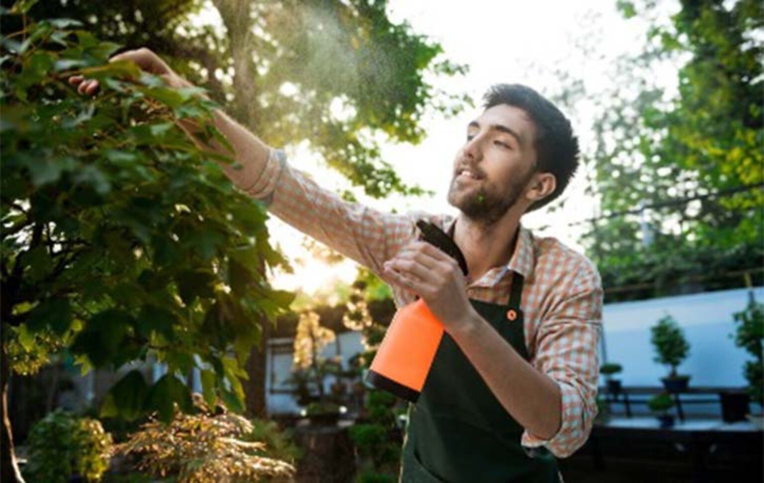 How A Weed Control Company Can Save Your Lawn: 6 Key Benefits - Kung-fu ...