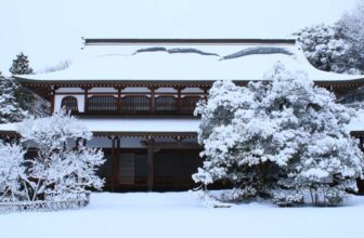 Preparing Your Dojo for the Winter Season - KUNG FU KINGDOM